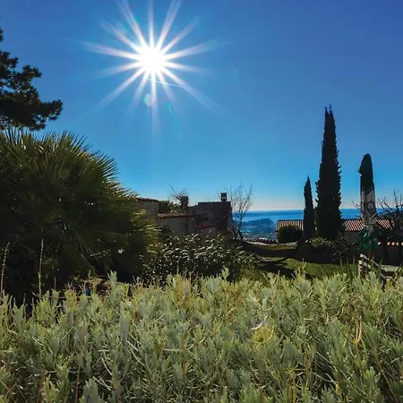 Amazing In Izola